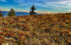 Terenuri de vanzare in Maguri-Racatau priveliste de vis si natura - 7