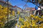 Casă cu 5 camere cu Teren 535 Mp în Central - 14