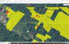 Teren intravilan 901 mp Valiug Crivaia - 5