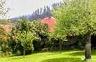 Proprietate: 1500mp, cu casa saseasca autentica, in Cristian, Brasov - 4