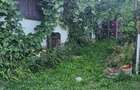 Casă cu 2 camere în Bunești