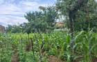 Teren intravilan 1000mp, zona Magura Sohodol