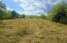 Teren intravilan 4.280 mp - Dobreni, Neamt - asfalt, 65 m deschidere - 5