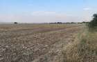 Teren intravilan 29 000 mp, Paulesti. DN1. - 2