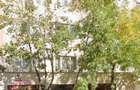 Spatiu comercial de inchiriat - 4