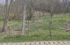 Teren intravilan 2500 mp - 2