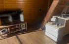 INVESTITIE - banii inapoi in 5 ani /Cabana A frame/Gaz.Apa.Canal/400m2 - 10