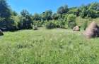 Teren de 876 mp, în Valea Doftanei - 6
