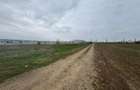 Teren de vanzare intravilan Moara domneasca - 3