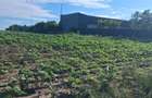 Teren agricol 1000mp, acces asfaltat, 35.000 EUR - 7
