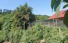 Casa cu gradina in Blaj - 1