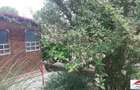 Casa in Beltiug 45000 Euro - 8