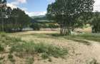 Teren intravilan de 9250 mp, în Bujoreni - 2