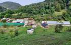 Casă cu 6 camere cu Teren 12500 Mp în Copăcelu - 5