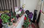 Apartament cu 2 camere semidecomandat în Griviței - 2