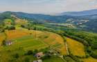 Teren intravilan de 11600 mp, în Poiana Mărului - 14