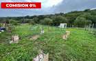 Teren intravilan in categoria zona verde, Tineretului - 1
