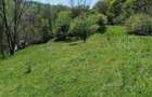 Teren de vis la munte 7.795 mp construibil parau, padure, fara vecini Valcea - 4