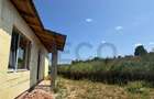 Casă cu 3 camere cu Teren 600 Mp în Paleu - 2