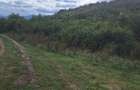 Teren agricol extravilan de 700 mp, în Gușterița - 3