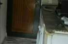 Pf inchiriez camera camin wc dus in Bulgaria 12mp - 3