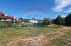 Teren Construcții intravilan de 3600 mp, în Făget - 1