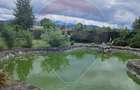 Casă individuală cu 7 camere cu Canalizare în Ghimbav Livadă - 32