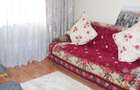 Apartament cu 2 camere semidecomandat în Prelungirea Ferentari - 7