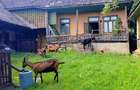 Casă de vânzare în SOVEJA – un refugiu perfect, aer curat și intimitate deplin - 1