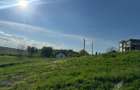 Teren intravilan,3950mp. Rosiorii! - 6