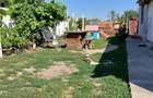 Casă individuală cu 2 camere cu Teren 1400 Mp în Cenad - 2