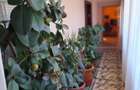 Casa in Smardan cu centrala termica si  utilitati la pret de apartament - 3