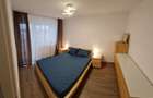Apartament cu 2 camere semidecomandat în Iancului - 3