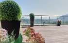 Apartament cu 3 camere decomandat în Drumul Poienii - 14