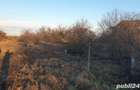 Teren intravilan cumpana proprietar zona in plina dezvoltare - 3
