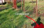 Teren intravilan Bolde?ti Gradi?te - 3