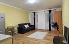 pers fizica ofer spre inchiriere garsoniera pe Stefan cel Mare_Opera Residence - 4
