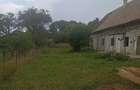 De vanzare casa particulara in Anghelus - 4
