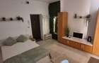 Garsoniera moderna / complet renovata si mobilata Prima inchiriere (proprietar), 5 minute de UMF - 1
