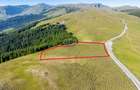 Teren Construcții de 10000 mp, în Moroeni - 3