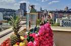 Penthouse cu vedere la Palat, de 266 mp - 9