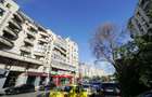 Spatiul comercial 100 mpu str.Sf Vineri colt cu B-dul Corneliu Coposu - 10
