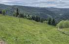 Teren de 7000 mp, în Măguri - 1