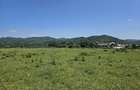 Teren intravilan de 1209 mp, în Câmpina - 5