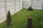 Casa de vanzare tip duplex 3 camere Pantelimon - 4