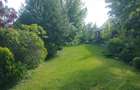 Vand teren 0,75 ha in Bazna cu doua case, o casuta, anexe... Ideal pentru camping, Airbnb, pensiune - 7