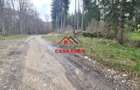 Teren extravilan Valea Doftanei 20.500 mp 6e mp - 19