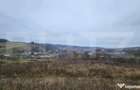 Teren intravilan 4774 mp de vanzare in Livezeni - 4