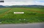 Teren de 2900 mp, în Tărlungeni - 2