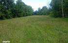 teren 1773 mp | Prahova | Banesti | Urleta | Campina - 6